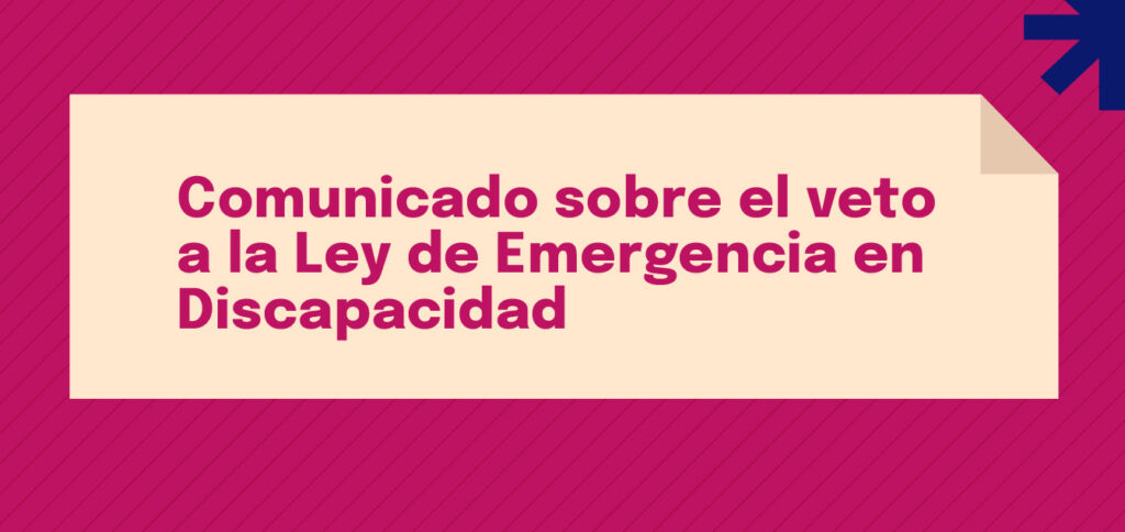 Comunicado sobre el veto a la Ley de Emergencia en Discapacidad