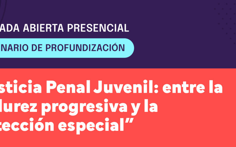 Se realizará el Seminario de profundización ̈Justicia penal juvenil: entre la madurez progresiva y la protección especial”